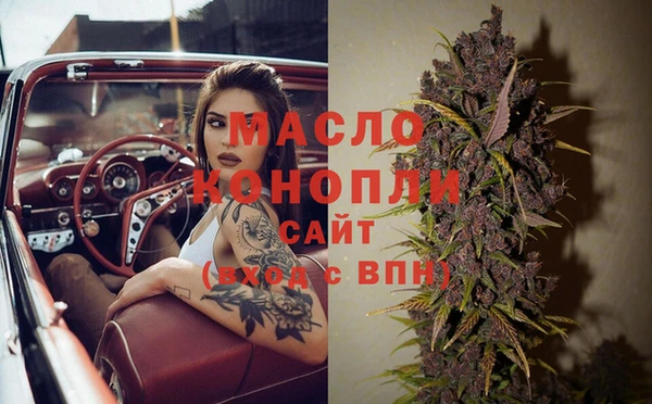 сатива Гусиноозёрск