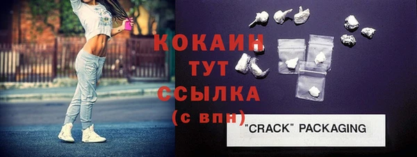 сатива Гусев