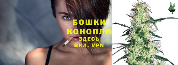 сатива Гусиноозёрск
