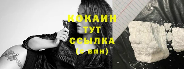 сатива Гусев
