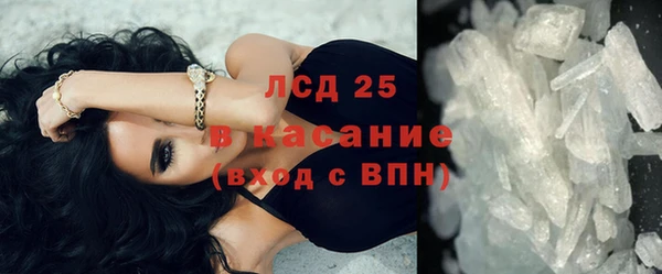 сатива Гусев