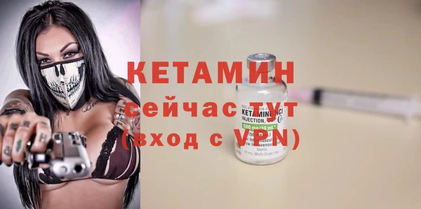 сатива Гусев