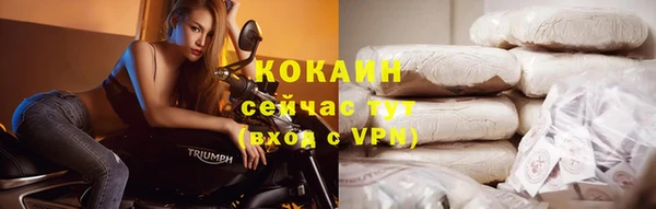 сатива Гусев