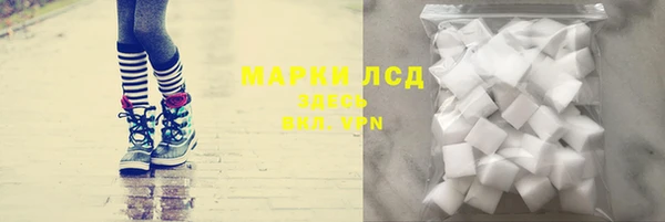 сатива Гусев