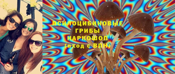 сатива Гусиноозёрск