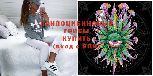 сатива Гусев