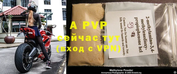 сатива Гусиноозёрск