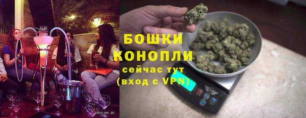 сатива Гусев